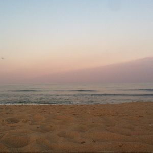 Meet your Posher, Kelly ann